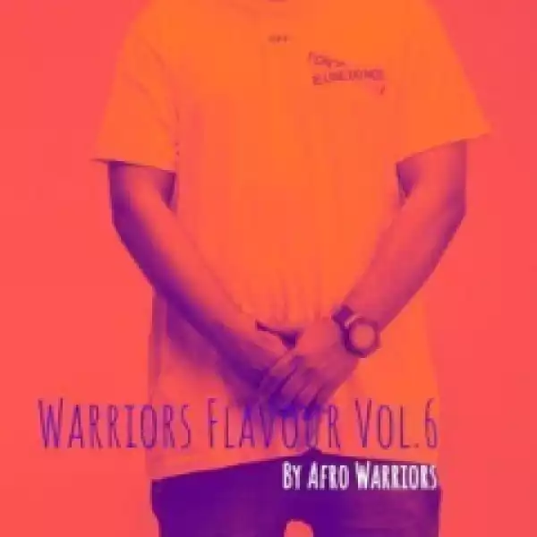 Afro Warriors - Warriors Flavour Volume. 6